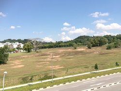 Woodhaven (D25), Condominium #197801302